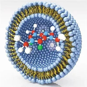 脂质体药物生物分析